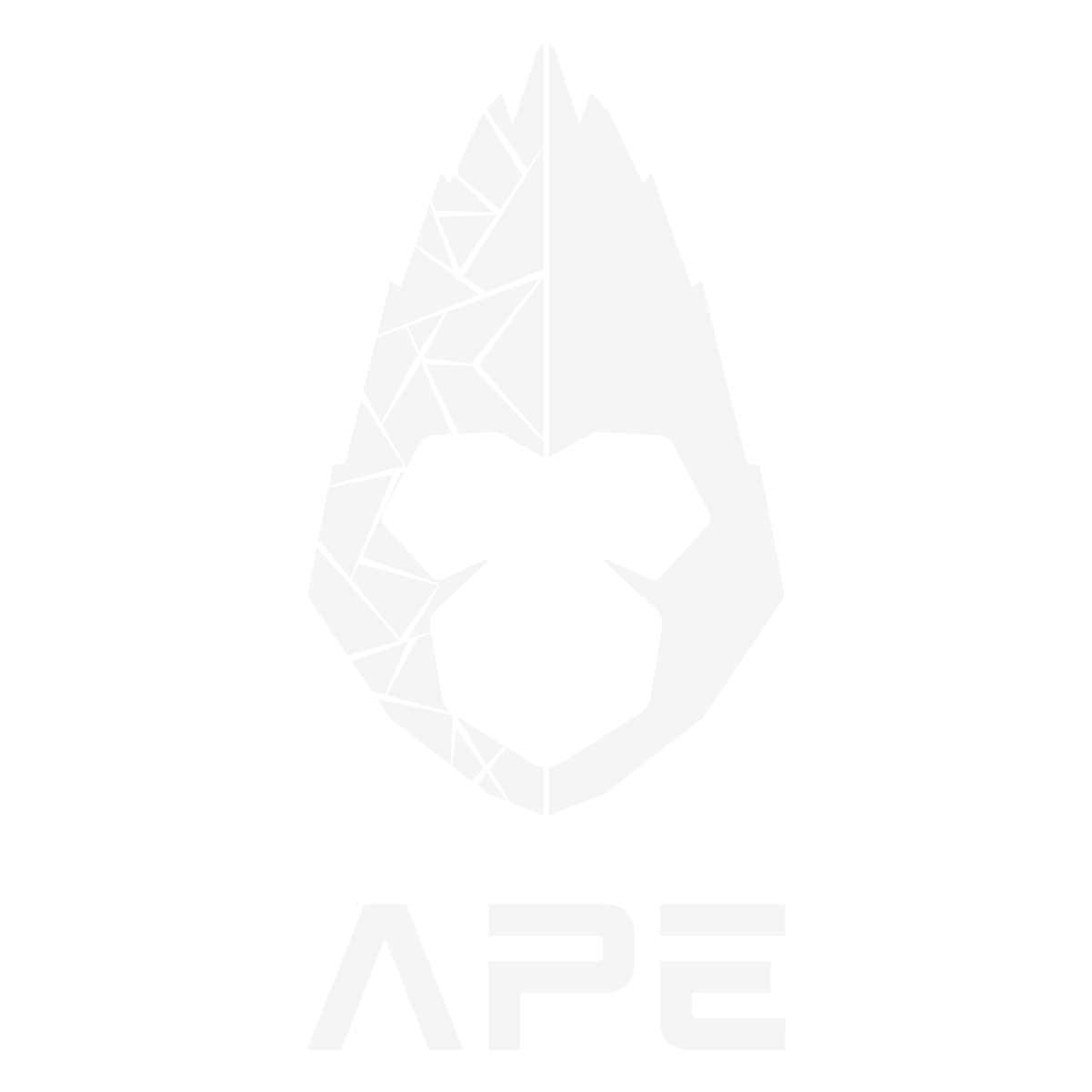 THE APE